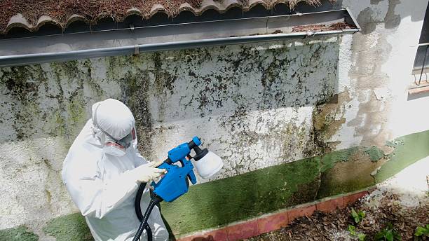 Top rated local Commercial Mold Remediation specialists in Spring City, TN